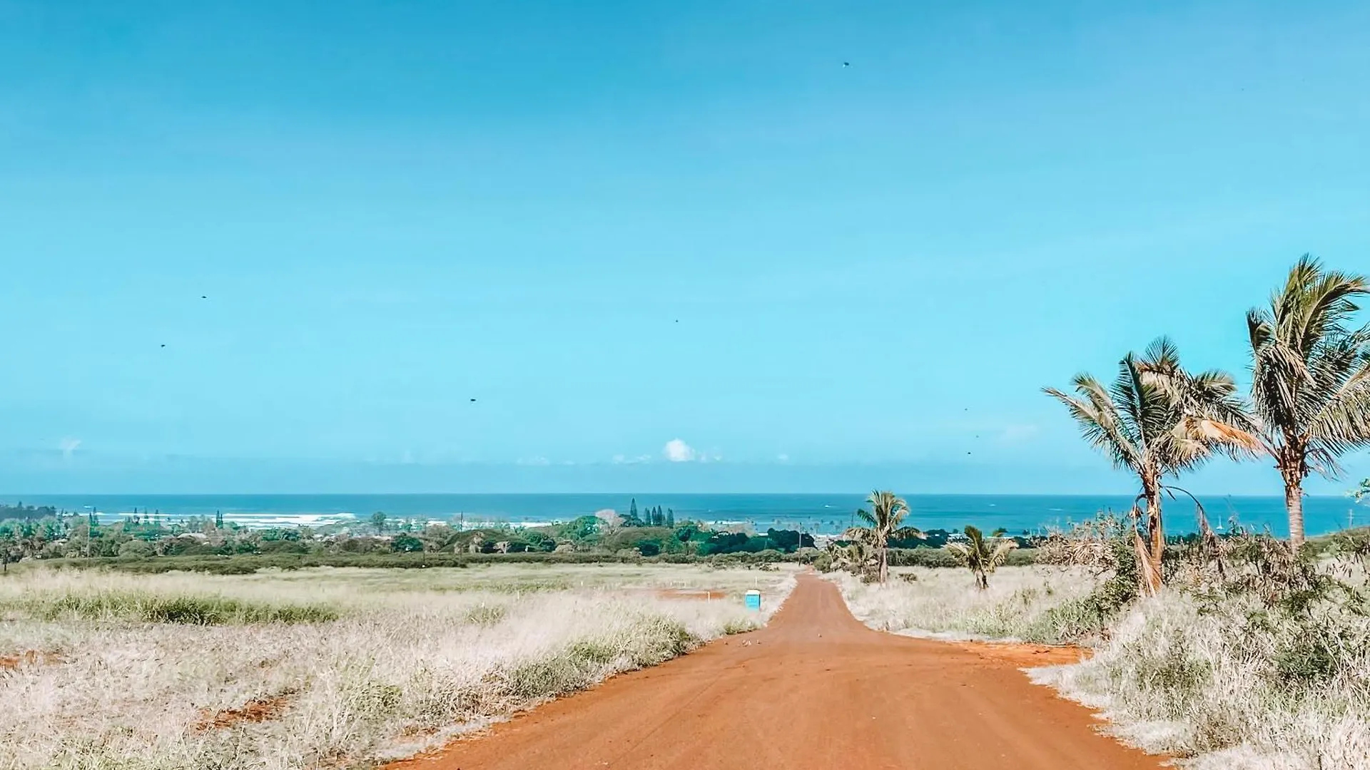 Campo de lujo Haleiwa Off Grid Tent - 5 Min From Town
